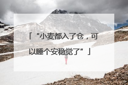 “小麦都入了仓，可以睡个安稳觉了”